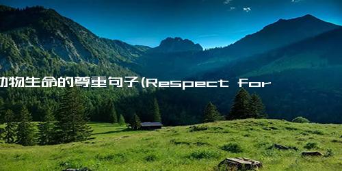 对动物生命的尊重句子(Respect for Animal Life Reflected in Rewrite)